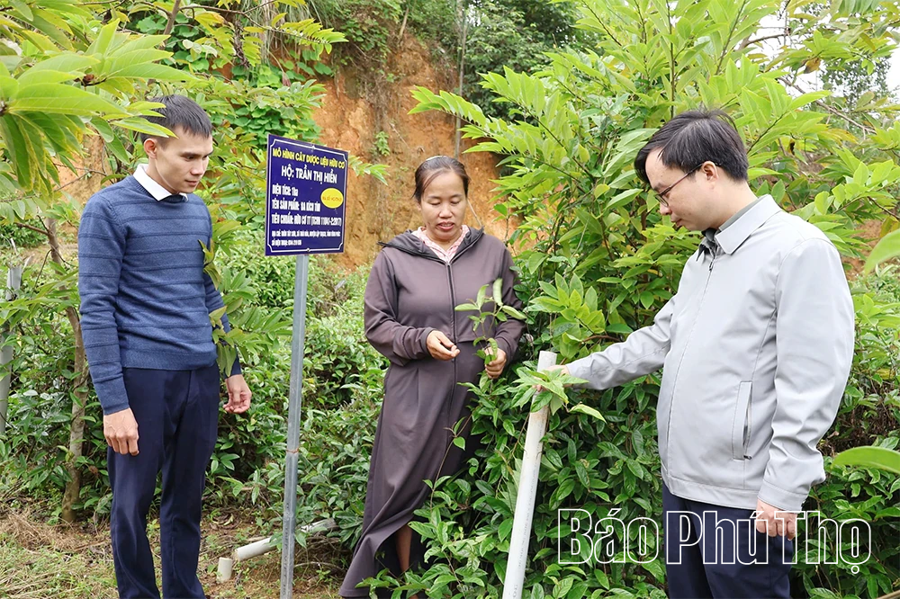 Thái Hòa nỗ lực giảm nghèo, nâng cao thu nhập cho người dân