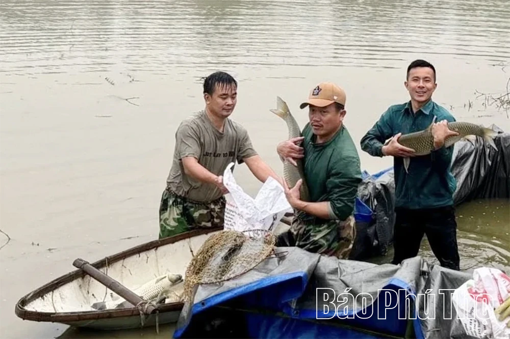 Hướng đi bền vững nâng cao thu nhập cho nông dân