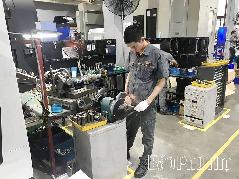 Động lực của kinh tế tư nhân