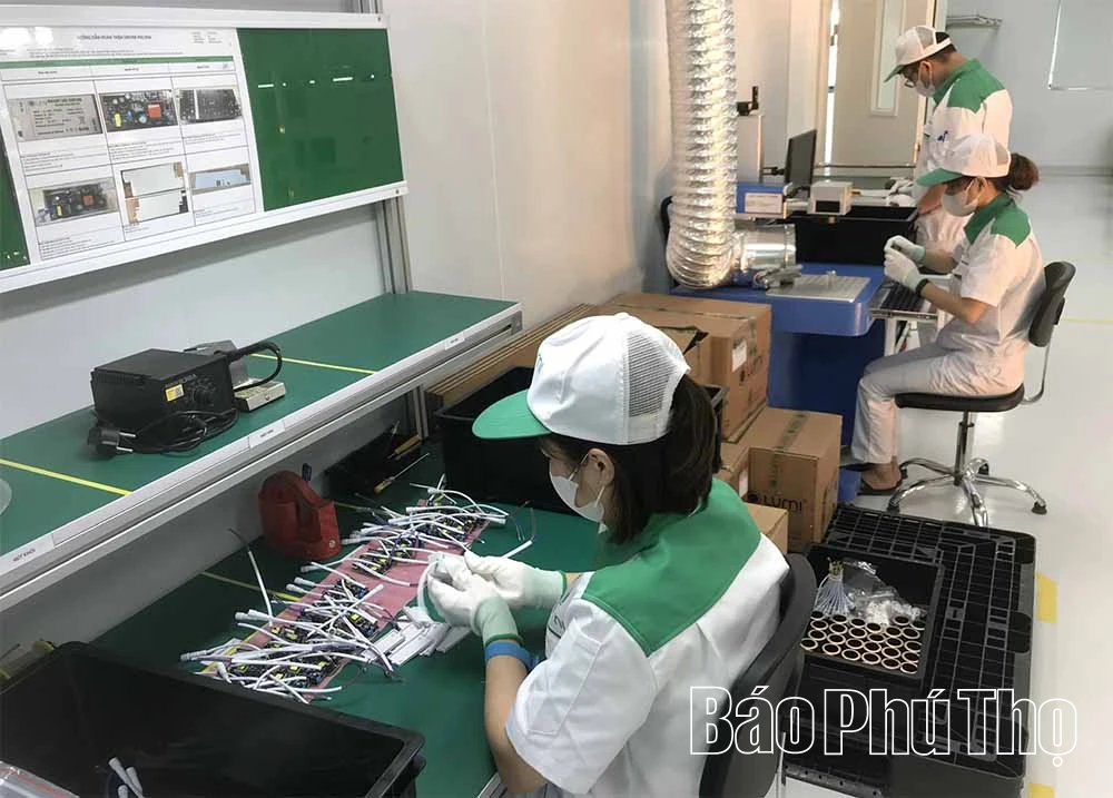 Động lực của kinh tế tư nhân