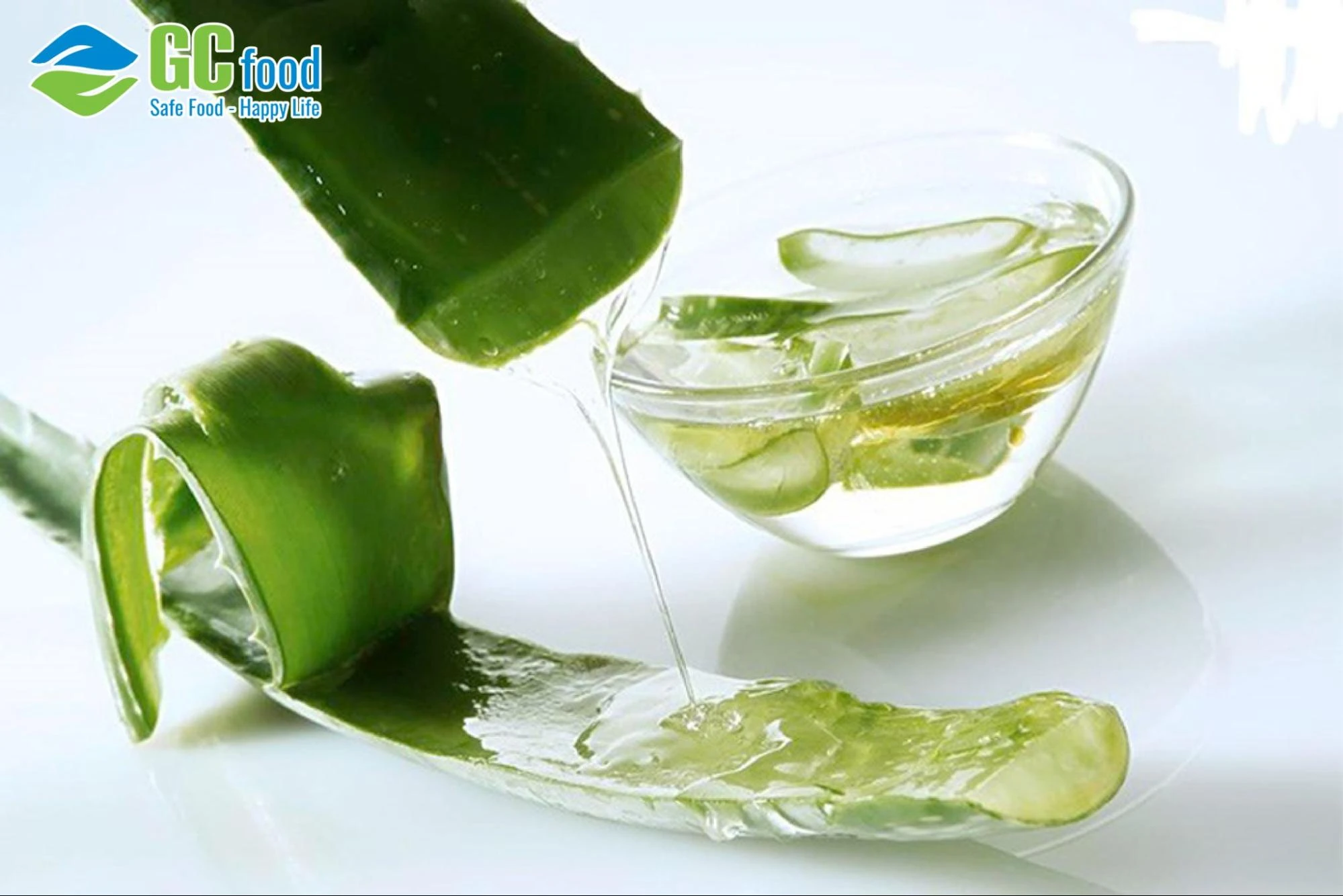 Gel lô hội là gì? Công dụng và cách làm nha đam đúng chuẩn tại nhà