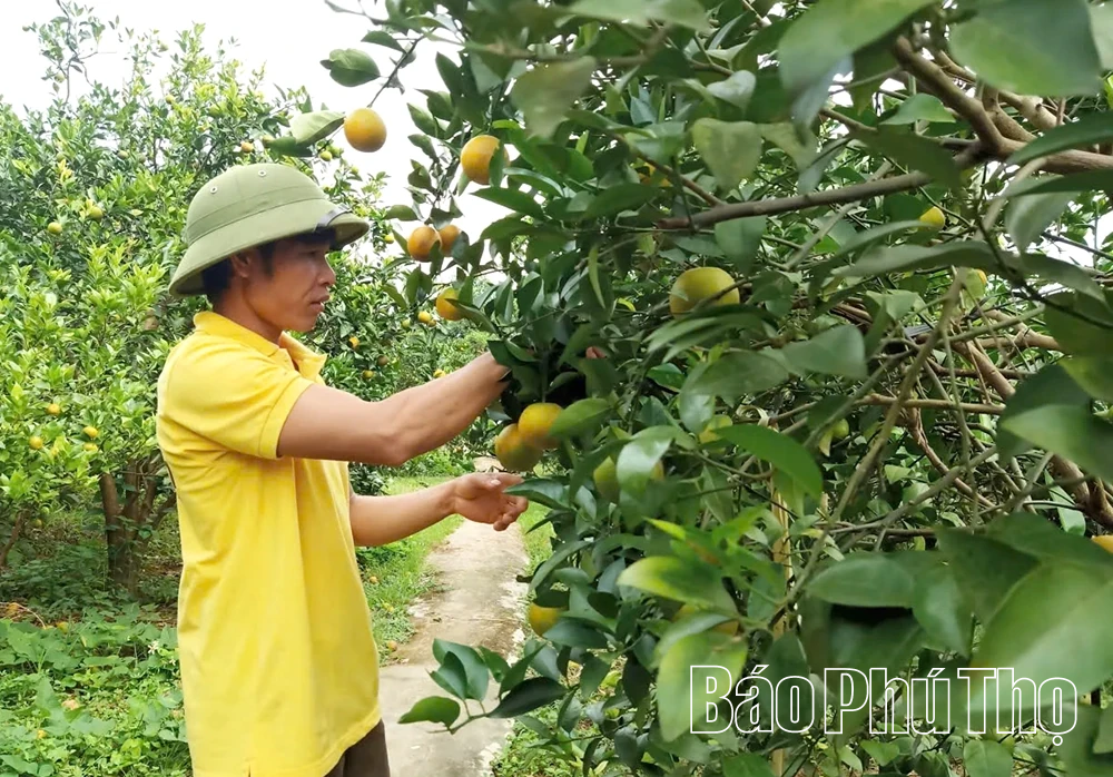 Siết chặt quản lý vật tư nông nghiệp