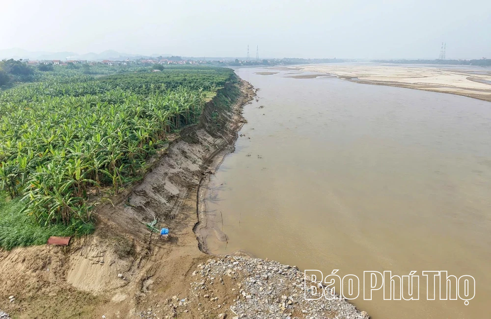 Phó Chủ tịch UBND tỉnh Đinh Công Sứ kiểm tra khắc phục sự cố sạt lở bờ vở sông Thao