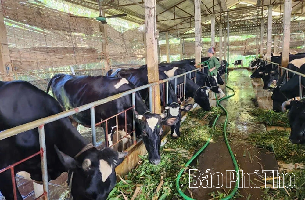 Sức lan tỏa từ các phong trào thi đua hướng về Đại hội XIV của Đảng