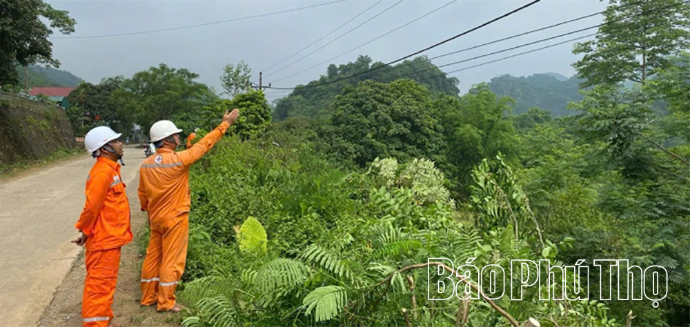 Đảm bảo cung cấp điện ổn định, an toàn