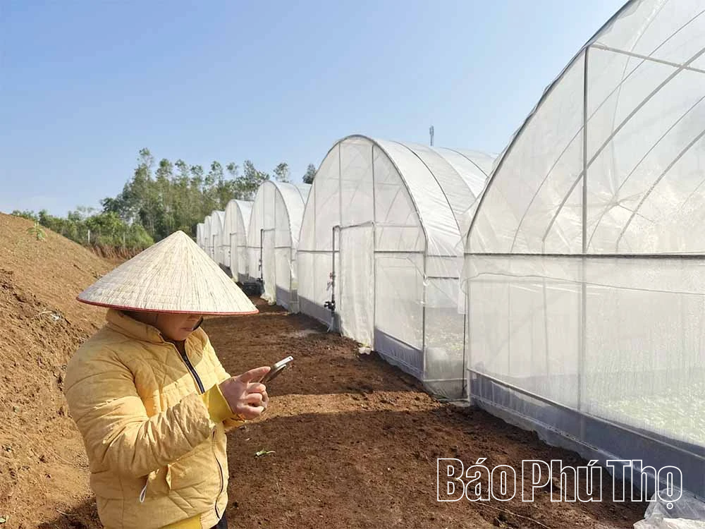 Đẩy mạnh chuyển đổi số, tạo đột phá cho nông nghiệp