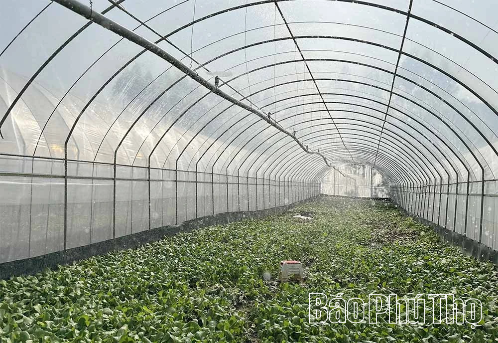 Đẩy mạnh chuyển đổi số, tạo đột phá cho nông nghiệp