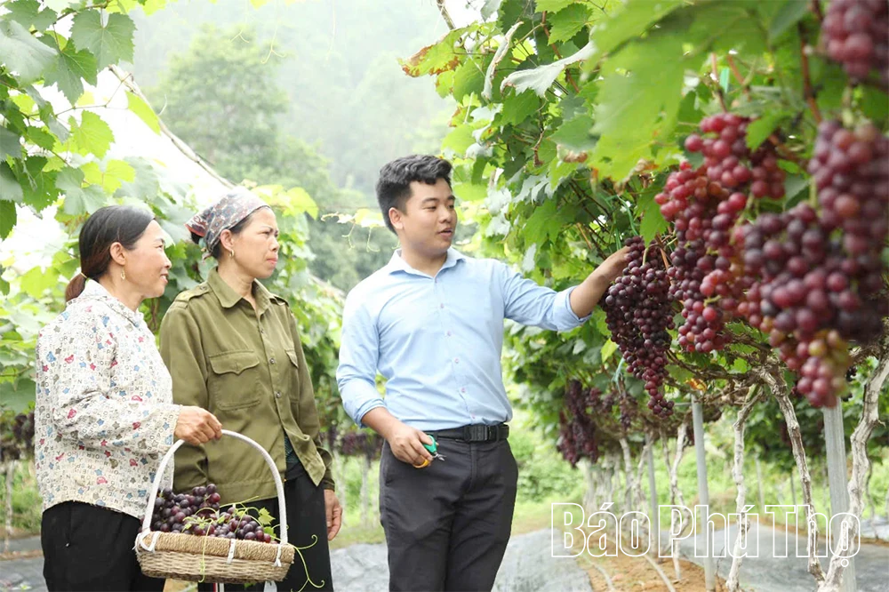 Làm giàu nhờ khoa học công nghệ