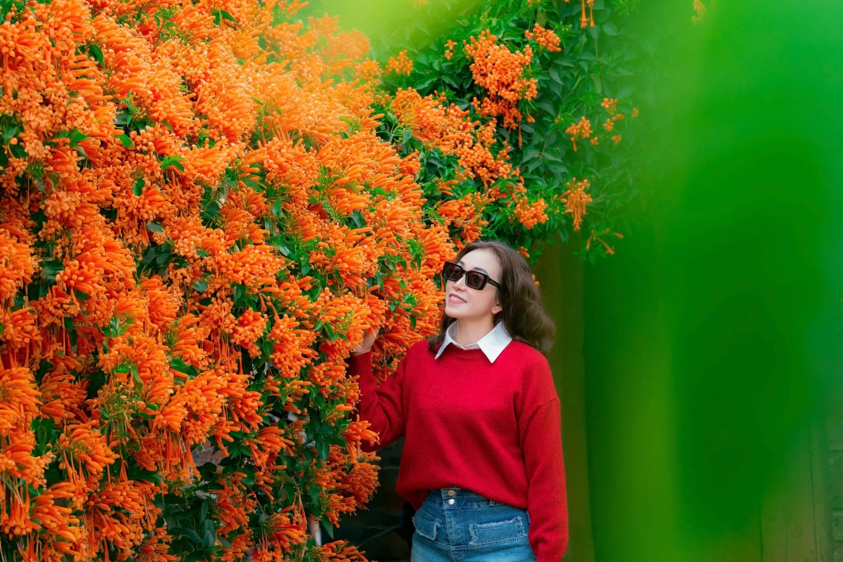 Ngôi nhà phủ kín hoa như cổ tích ở Bảo Lộc