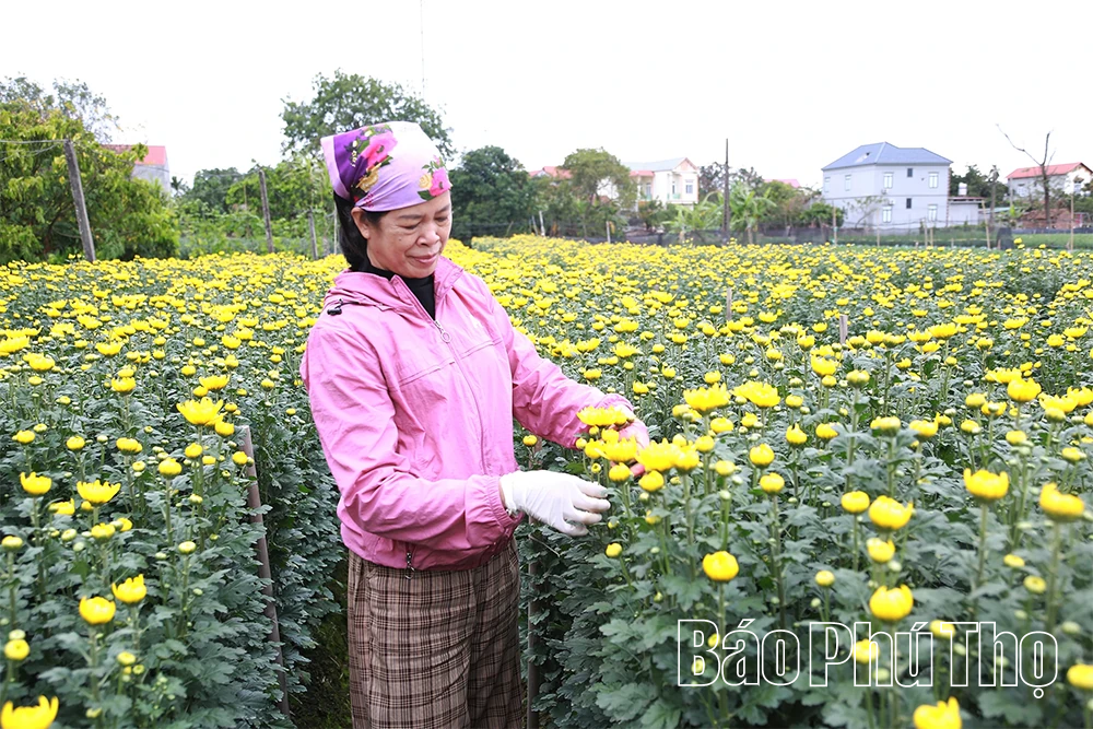 Xã Xuân Lãng học và làm theo Bác từ những việc cụ thể