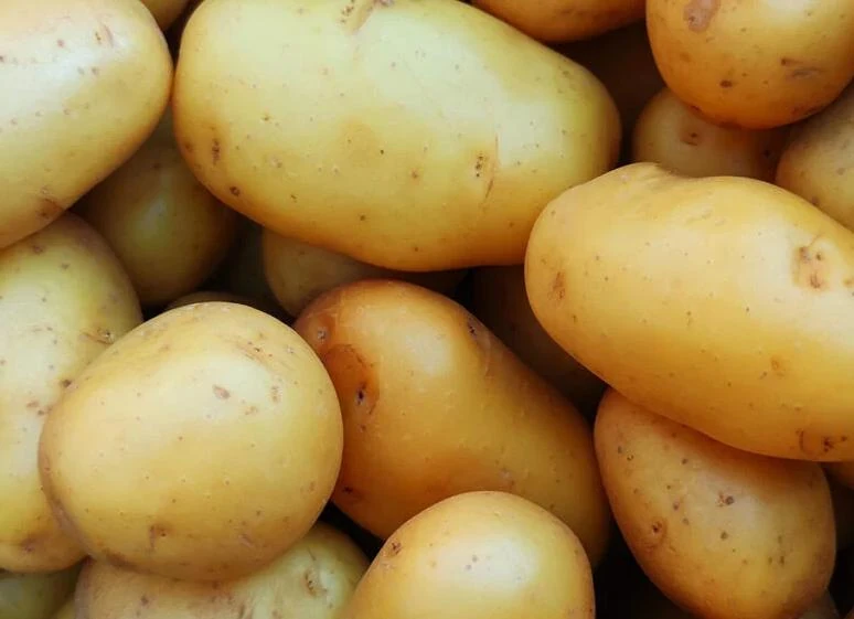 Giá cả thị trường ngày 22/01/2026