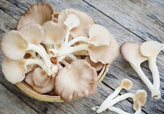 4 nguồn thực phẩm bù đắp lượng vitamin D bị thiếu hụt trong mùa đông