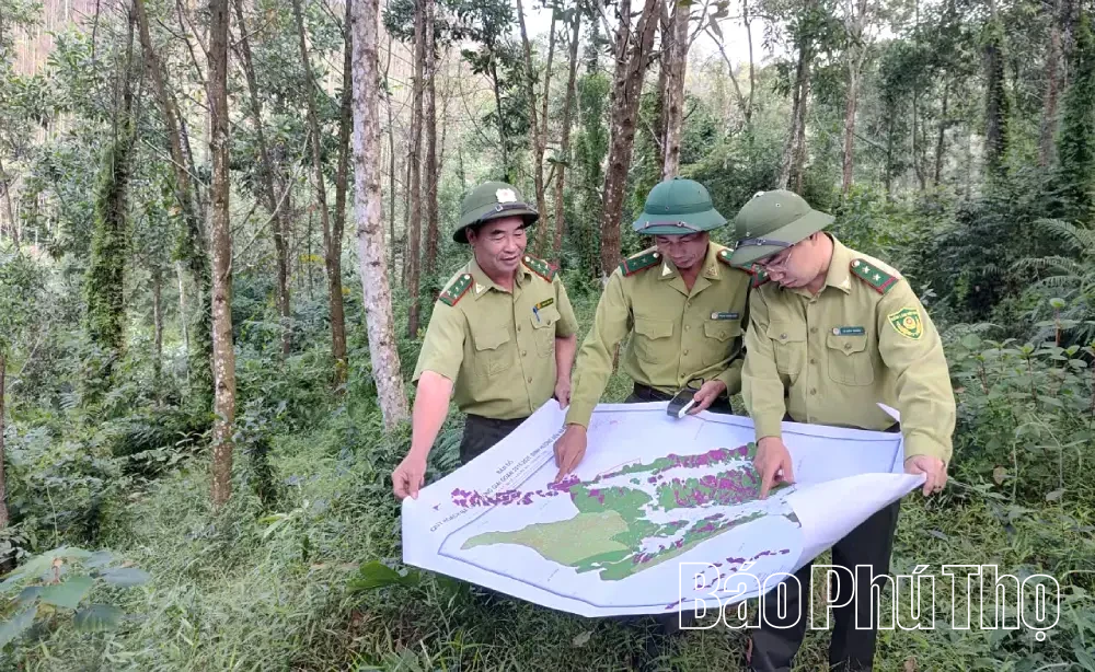 Chủ động phòng ngừa, giữ rừng an toàn trong mùa hanh khô