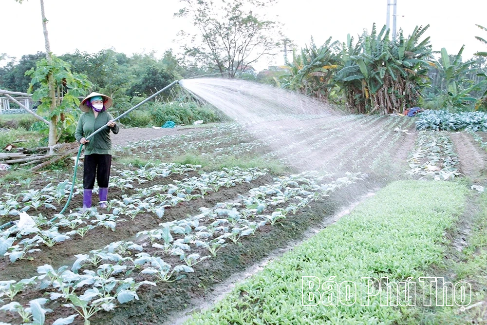 Khi nông dân làm giàu bền vững