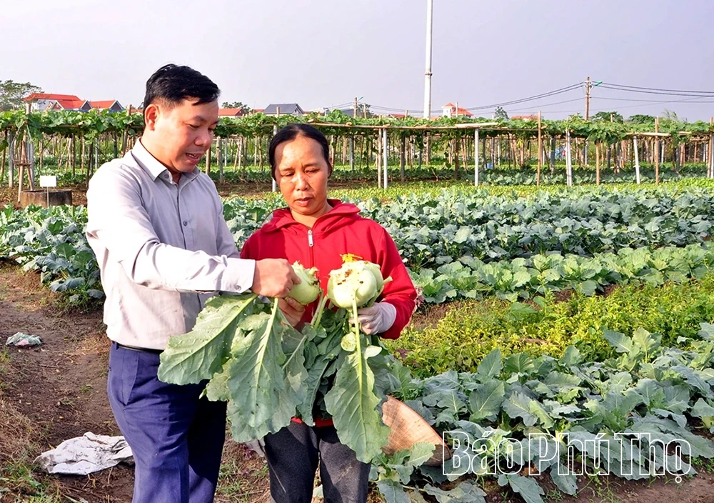 Khi nông dân làm giàu bền vững