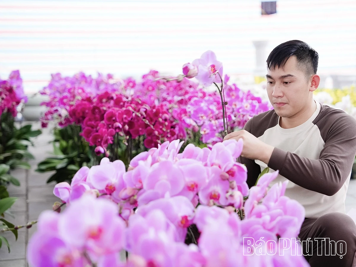 Rộn ràng thị trường hoa Tết