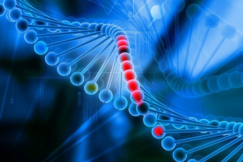 Gene di truyền là yếu tố chính quyết định tuổi thọ con người