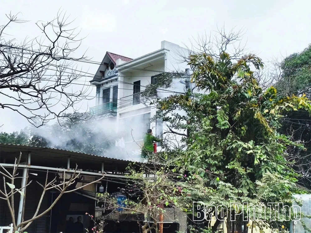 Kịp thời xử lý sự cố cháy cột điện không để xảy ra thiệt hại