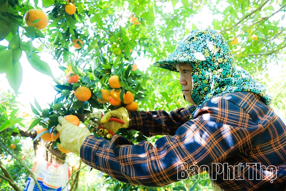 Đánh thức tiềm năng của Vân Sơn