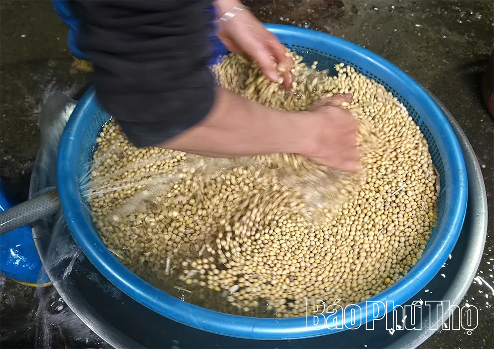 Đậu Rùa Tuân Chính: Gói trọn vị quê trong từng miếng nhỏ