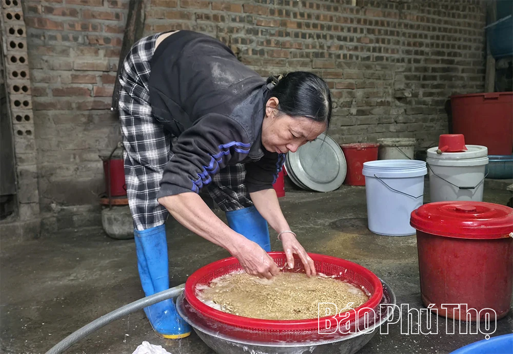 Đậu Rùa Tuân Chính: Gói trọn vị quê trong từng miếng nhỏ