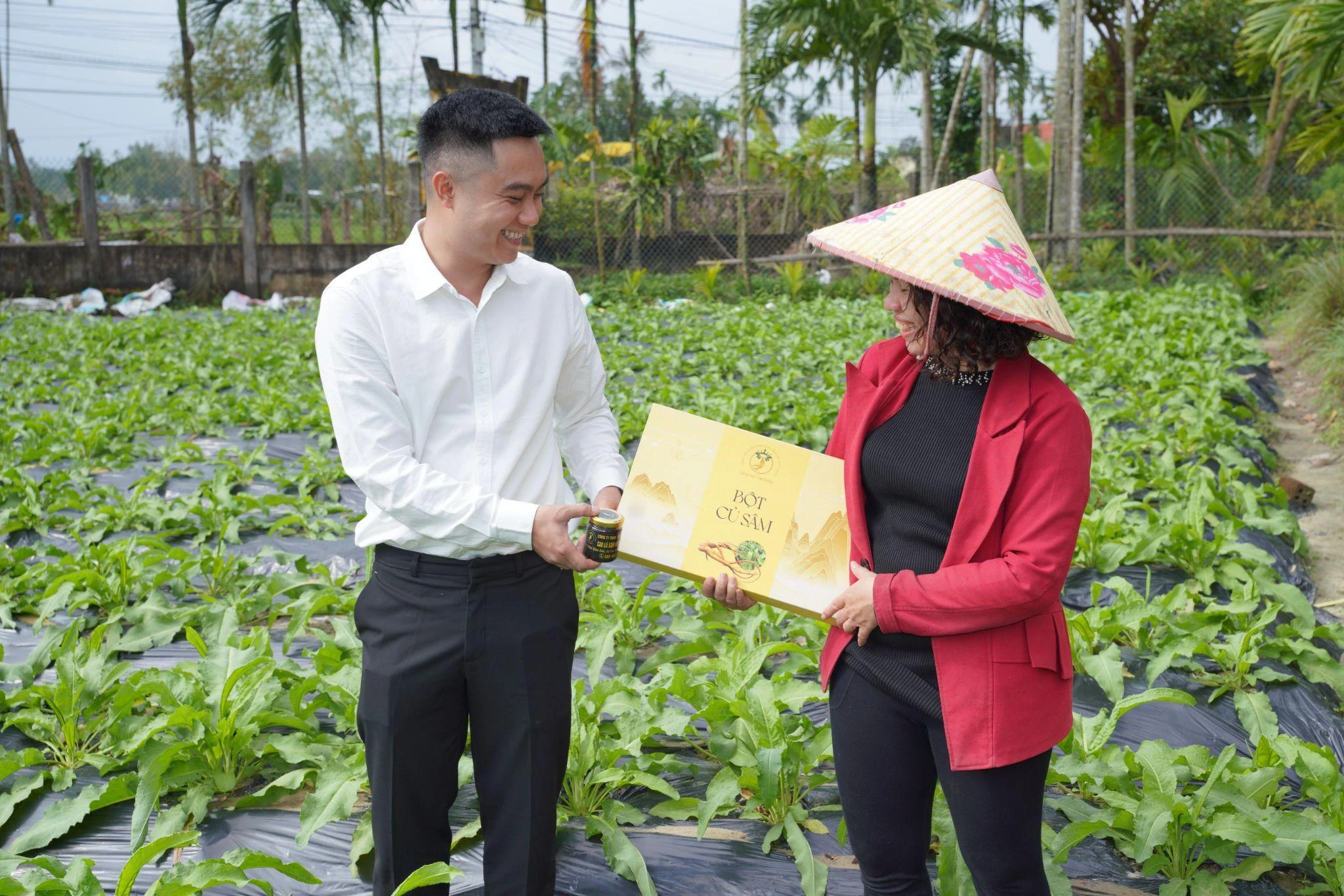 PHÁT TRIỂN BỀN VỮNG HỆ SINH THÁI SÂM NỮ HOÀNG: Chiến lược liên kết nông dân - doanh nghiệp - thị trường