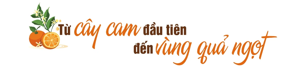 Vị ngọt vùng đất gió