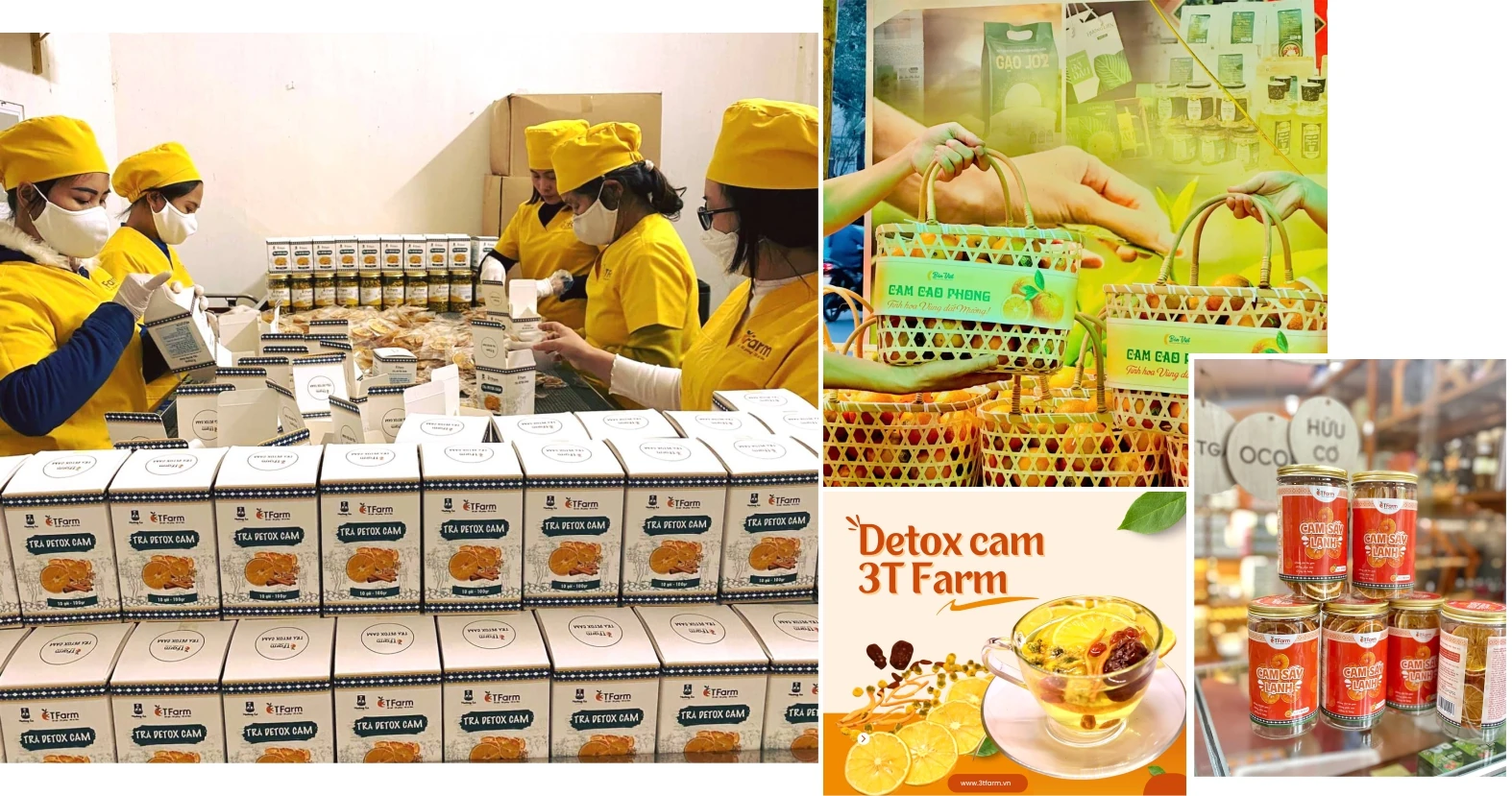 Vị ngọt vùng đất gió