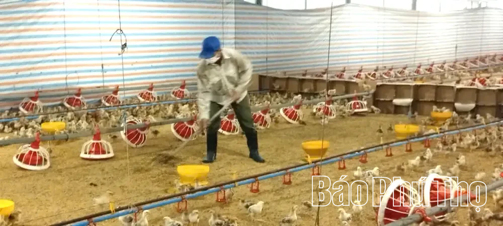 Sản xuất nông nghiệp tuần hoàn - Hướng đi cho nông nghiệp an toàn