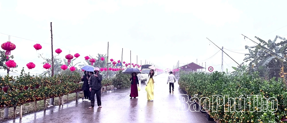 Hội chợ Xuân Bính Ngọ 2026 xã Trạm Thản