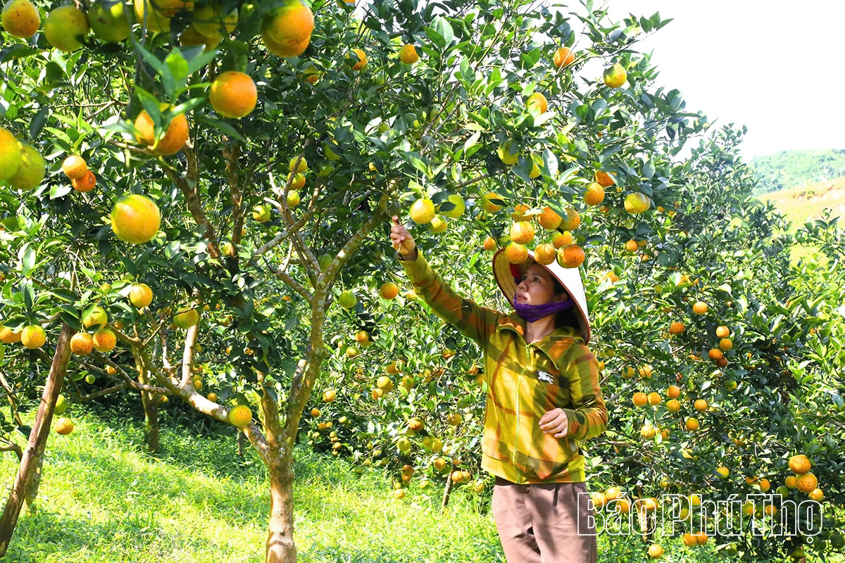 Chuyển mình đón kỷ nguyên mới