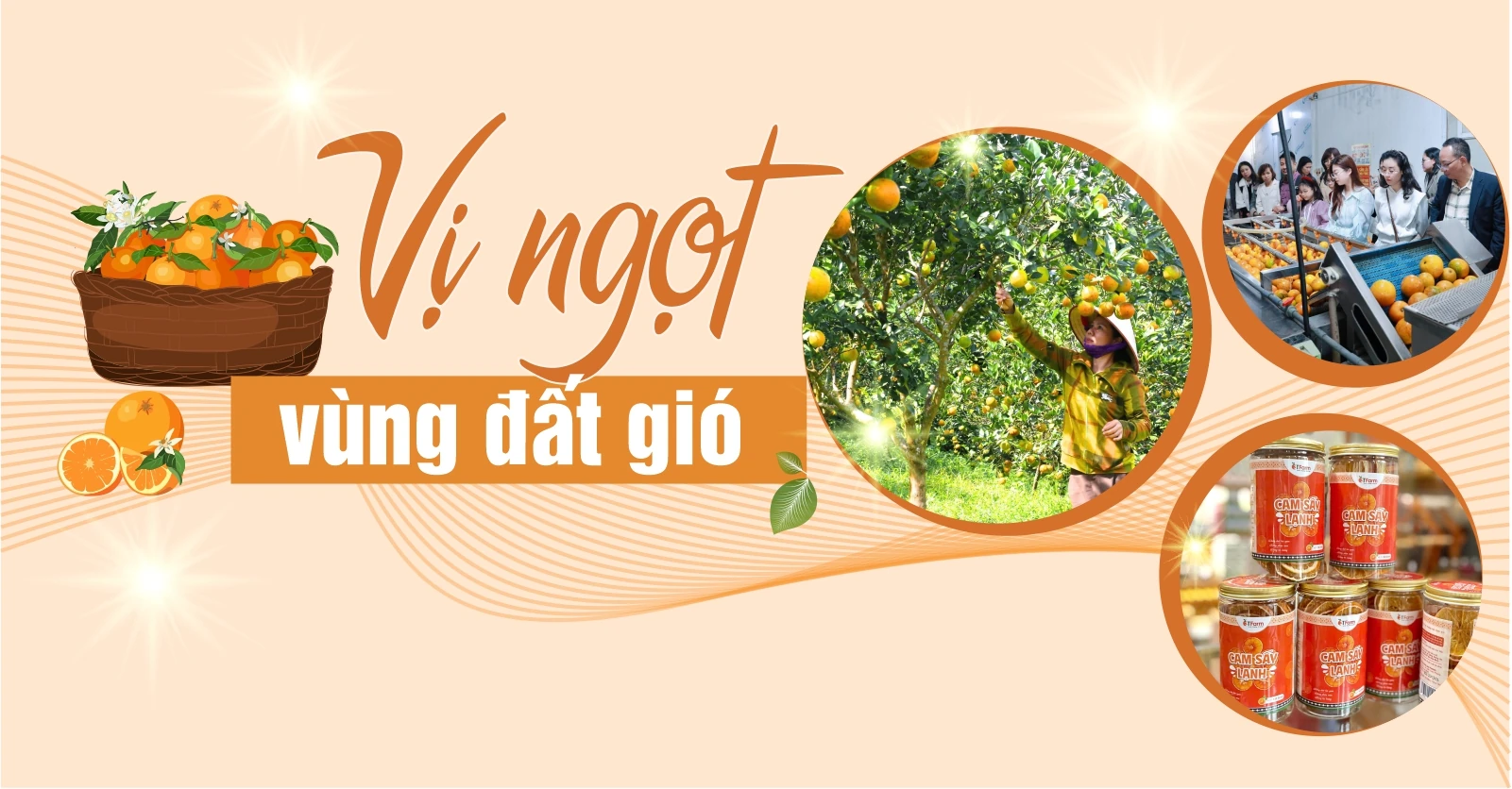 Vị ngọt vùng đất gió