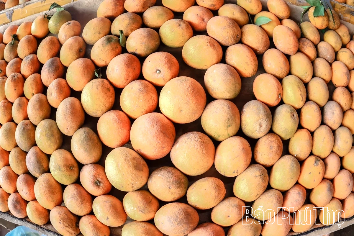 Chợ Bảm - điểm hẹn nông sản ngày Xuân