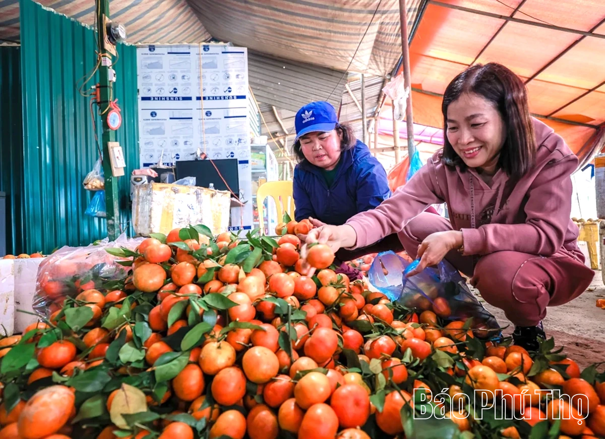 Chợ Bảm - điểm hẹn nông sản ngày Xuân
