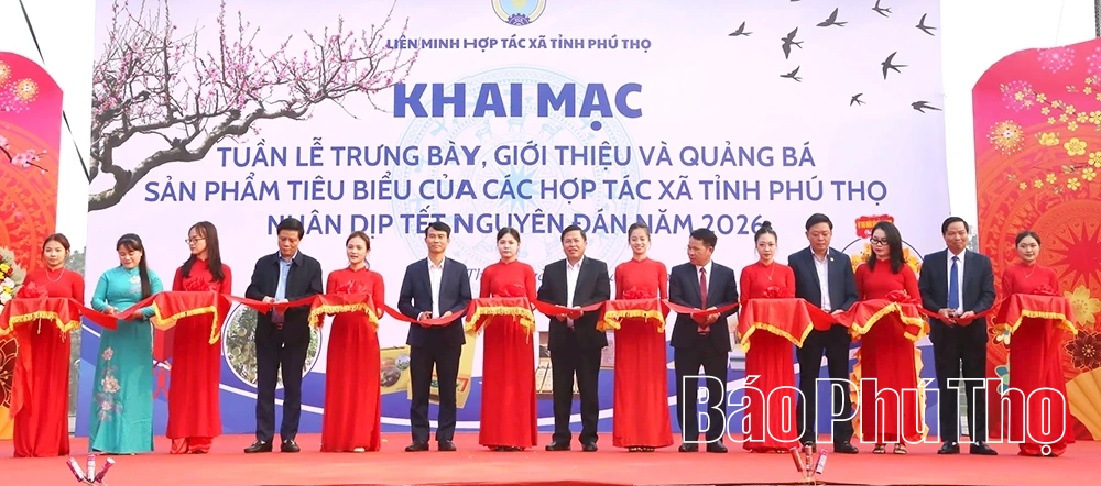 Khai mạc Tuần lễ trưng bày, giới thiệu và quảng bá sản phẩm tiêu biểu của các Hợp tác xã dịp Tết Nguyên đán 2026