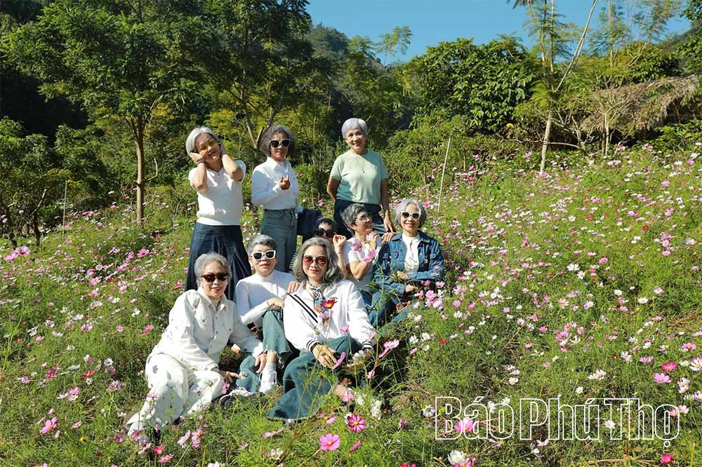 Trang trại hữu cơ Sen Vàng - Nơi thiên nhiên và lòng người hòa quyện