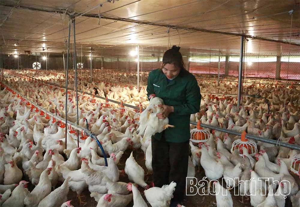 Lập Thạch đẩy mạnh phong trào thi đua yêu nước