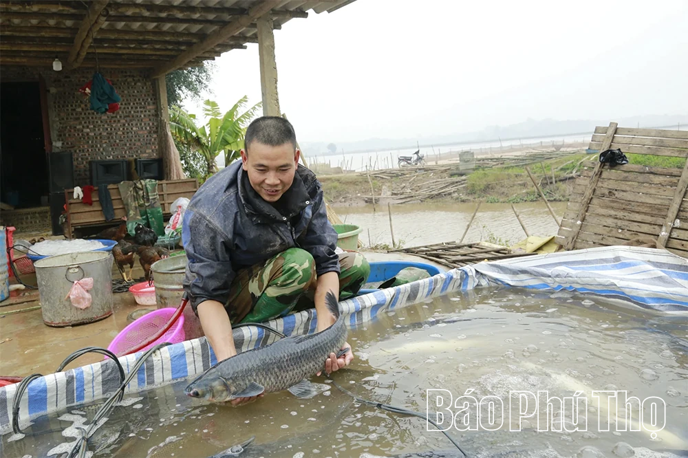 Kho báu đồng Láng Chương