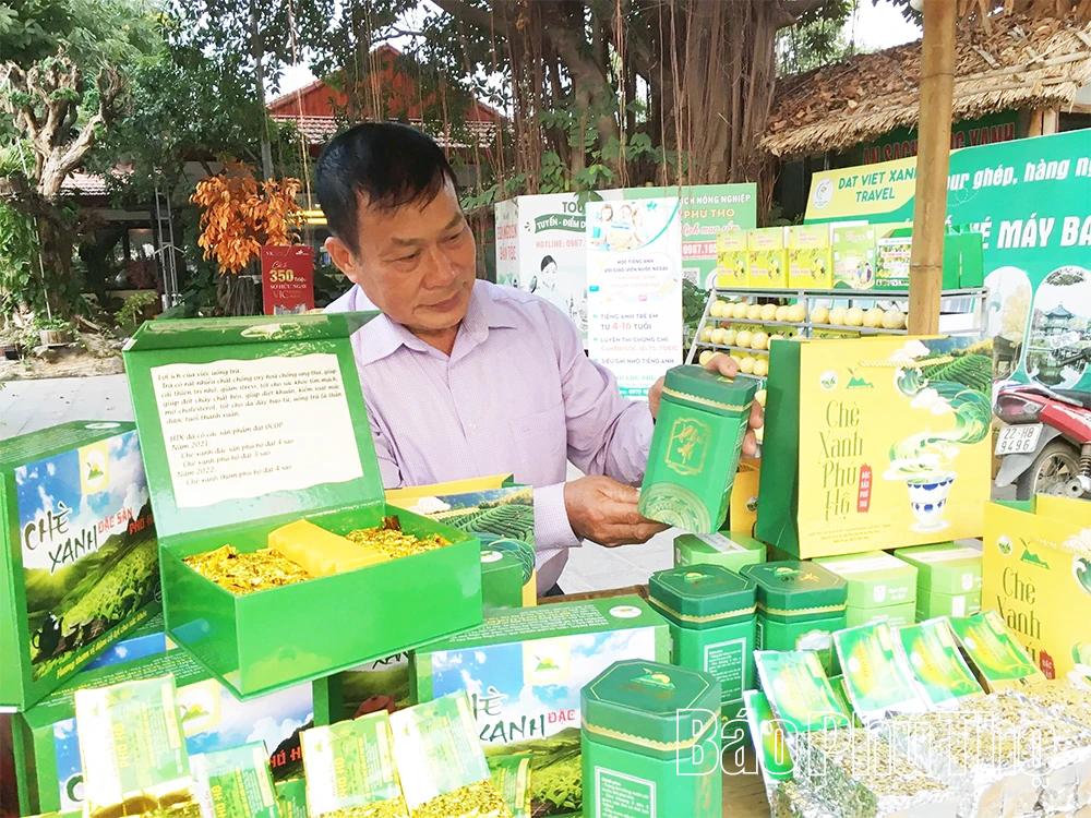 Hợp tác xã nông nghiệp thích ứng để phát triển