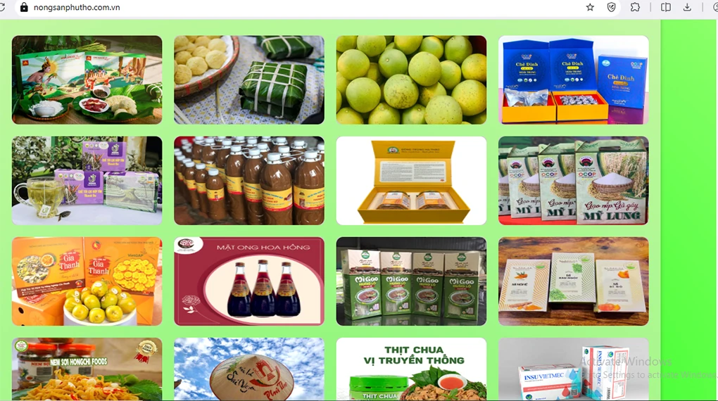 Thương mại điện tử giúp đẩy mạnh tiêu thụ nông sản dịp Tết