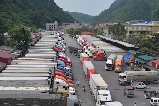 VLA đề nghị ngừng áp dụng Nghị định 46 đến hết tháng 3/2026