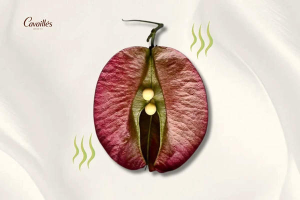 Bệnh phụ khoa: Nguyên nhân, dấu hiệu và giải pháp vệ sinh vùng kín an toàn cho phụ nữ