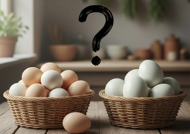 Ăn trứng gà hay trứng vịt tối ưu cho sức khỏe và tim mạch?