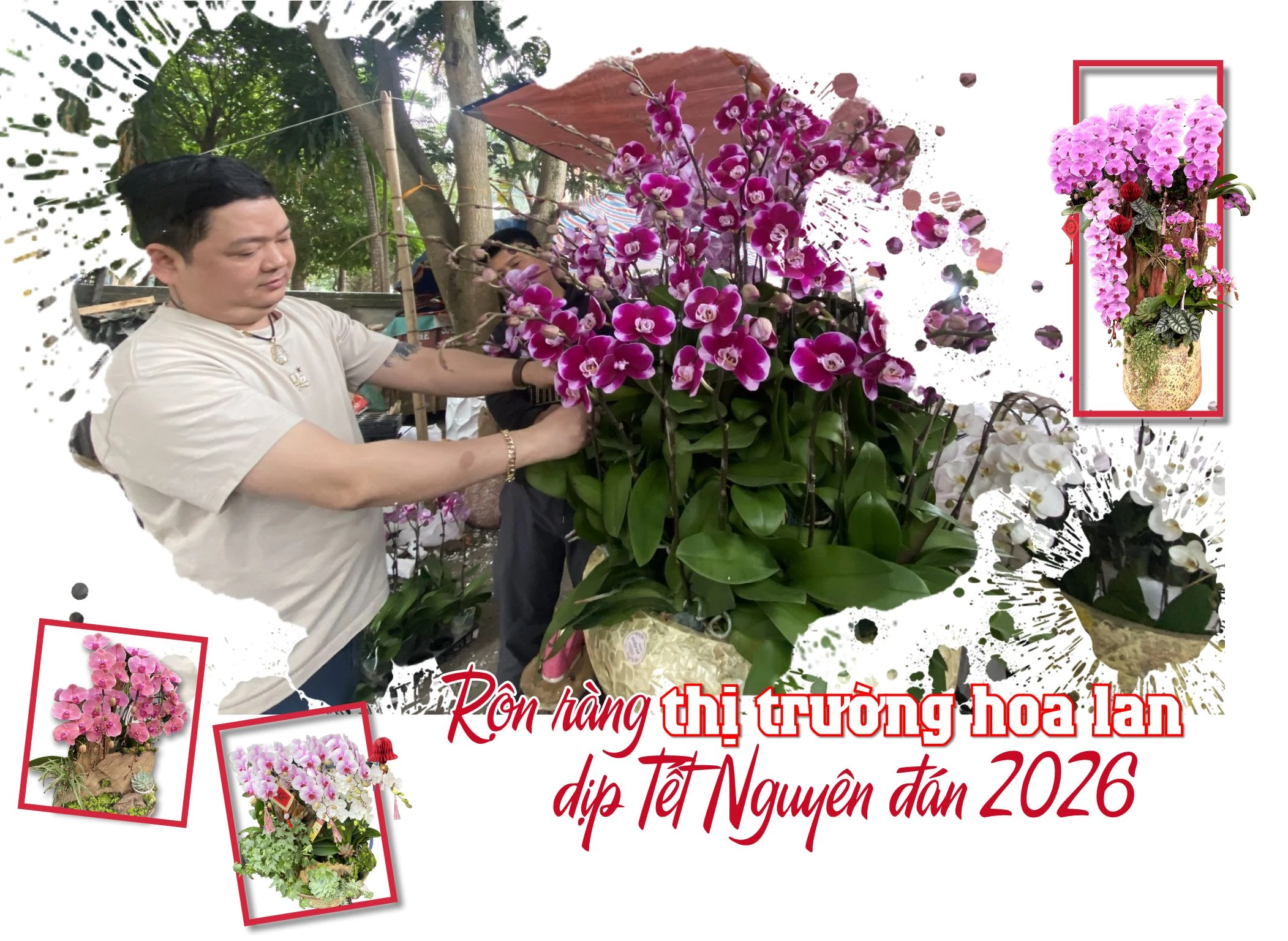 Rộn ràng thị trường hoa lan dịp Tết Nguyên đán 2026