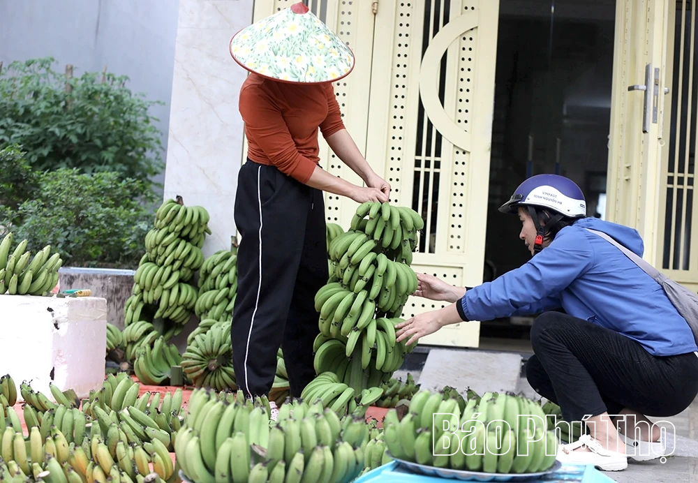 Chuối xanh ngày Tết