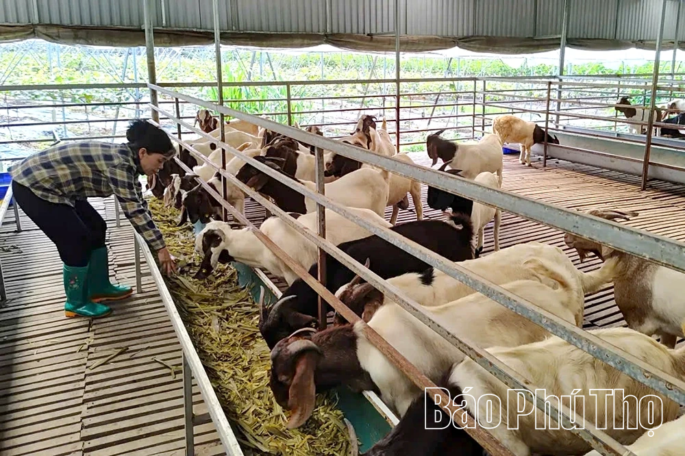 Mặt trận Tổ quốc xã Cự Đồng đẩy mạnh phong trào thi đua yêu nước