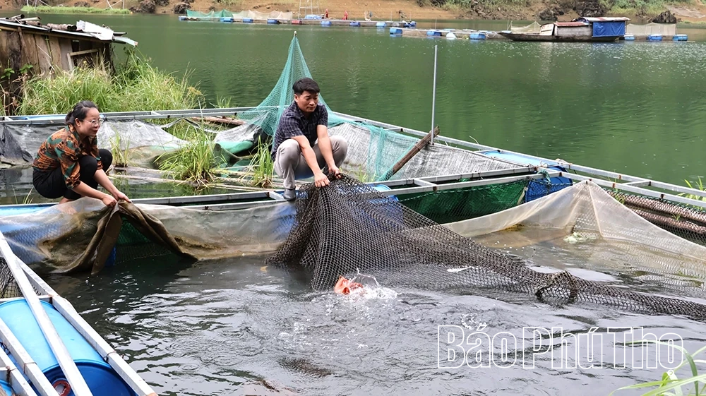 Mở lối thoát nghèo ở Tiền Phong