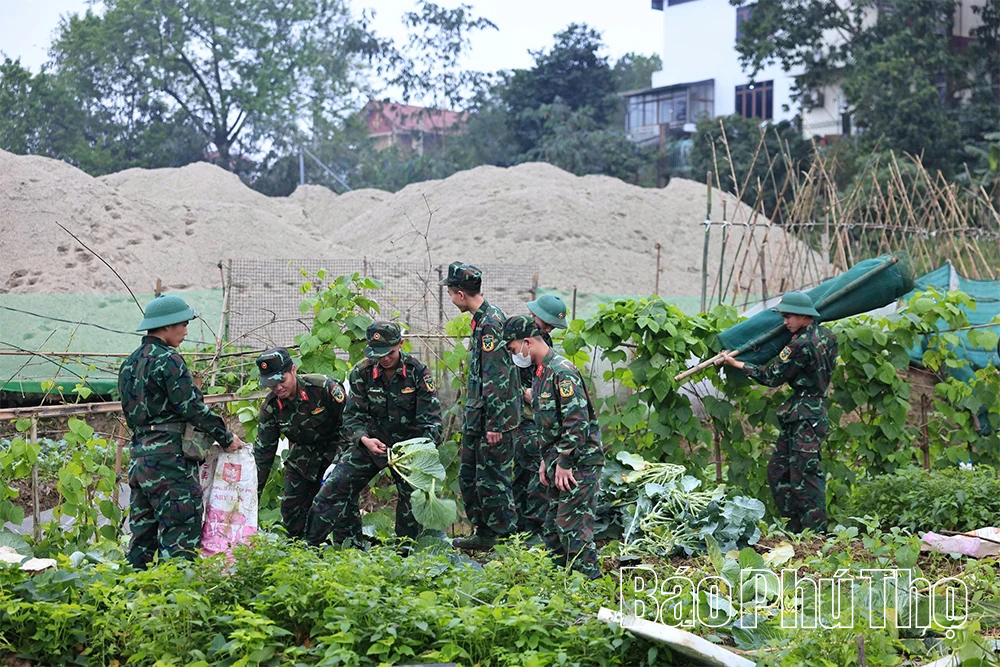 Huy động lực lượng tập trung gia cố đường dẫn, bến sông phục vụ lắp cầu phao