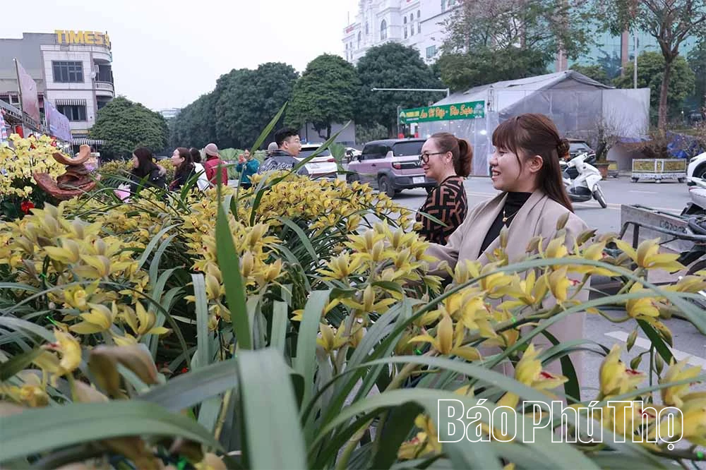 Đưa hoa Xuân xuống phố