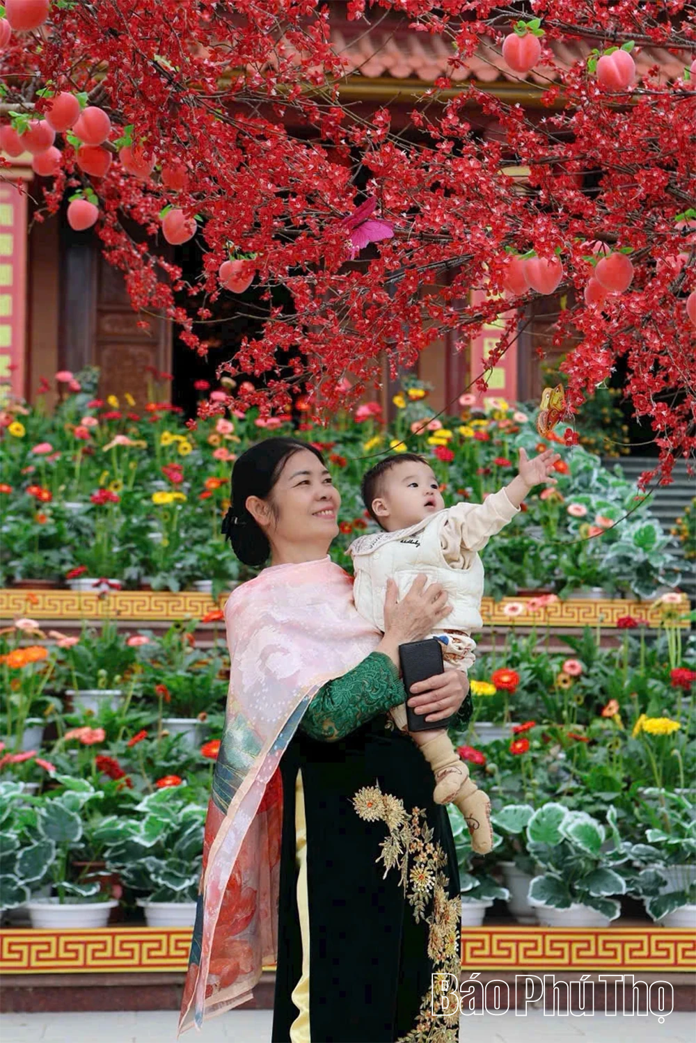 Khoảnh khắc Xuân qua những khung hình ngày giáp Tết